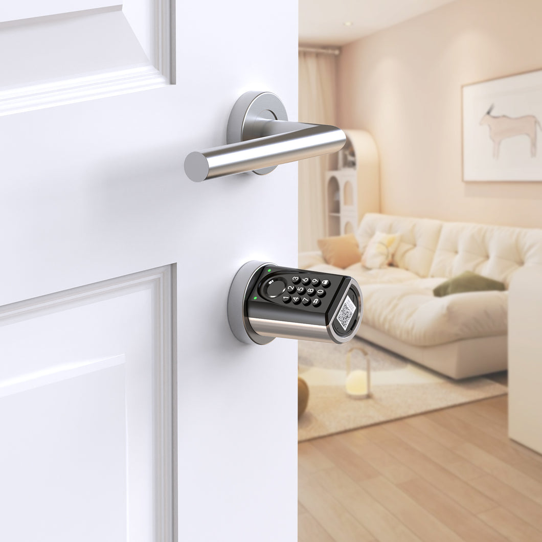 WELOCK Smart Lock ToucA51 Pro