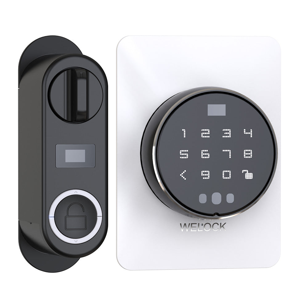 WELOCK A91 Faceplate Facial Recognition Automatic Lock