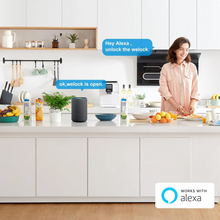 Load image into Gallery viewer, WELOCK WIFIBOX3 - Gateway Remote Unlocking WiFi Bluetooth